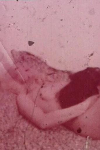 Pubic Hair Ban (2002) poster