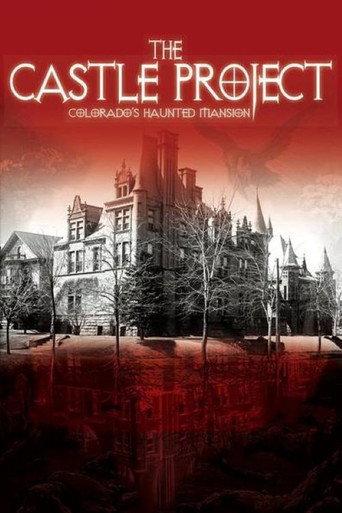 The Castle Project (2013) poster