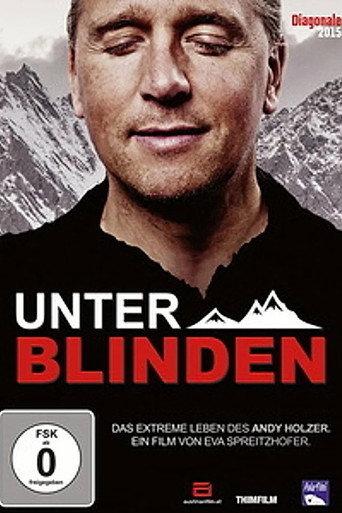 Unter Blinden: Das extreme Leben des Andy Holzer (2015) poster