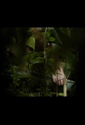 In A Grove (2025) poster