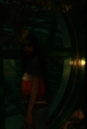 Waning (2024) poster