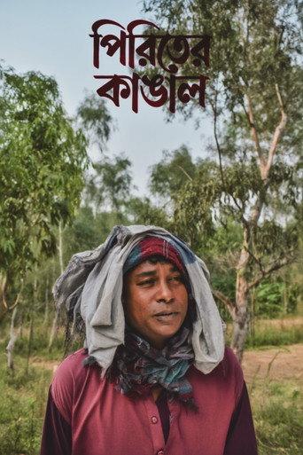 Piriter Kangal (2008) poster