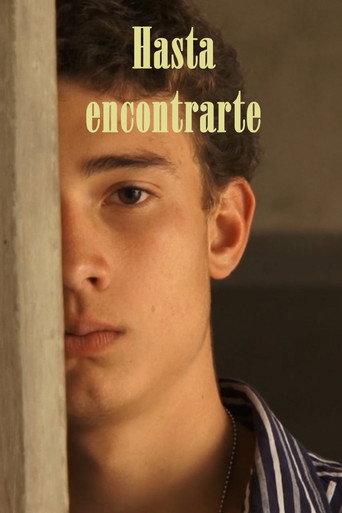 Hasta encontrarte (2013) poster