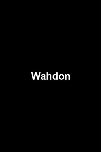 Wahdon (2014) poster