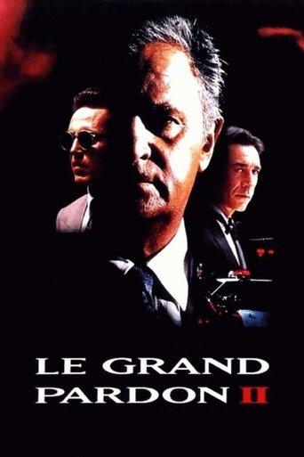 The Big Pardon 2 (1992) poster