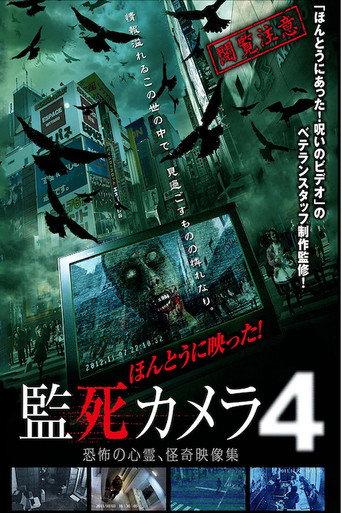 Paranormal Surveillance Camera 4 (2013) poster