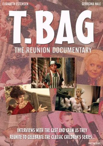 T-Bag: The Reunion Documentary (2007) poster