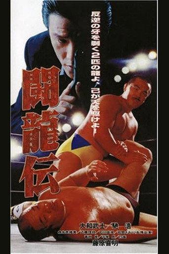 Toryu-den (1995) poster