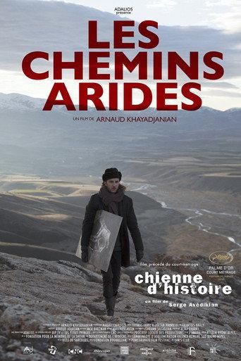 Stony Paths (2015) poster