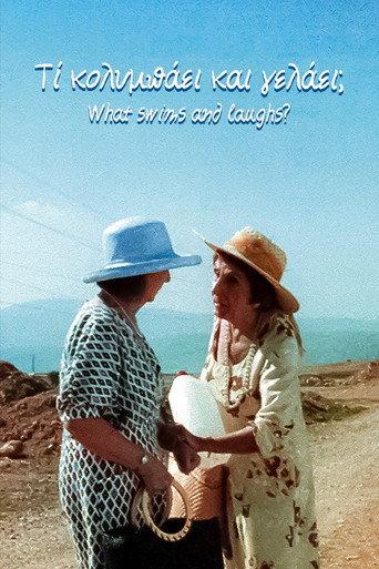 What swims and laughs? (2003) poster