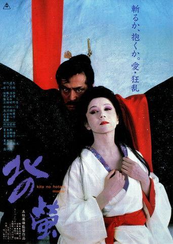 Fireflies in the North (1984) poster
