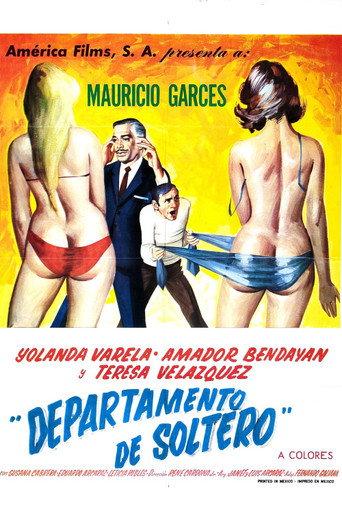 Departamento de soltero (1971) poster