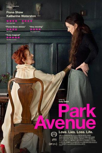 Park Avenue (2025) poster