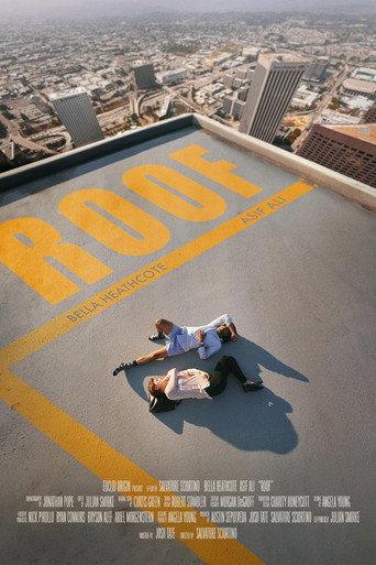Roof () poster