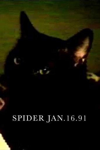 Spider Jan.16.91 (1994) poster
