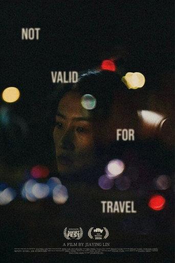 Not Valid for Travel () poster