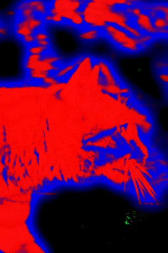 9 Lives Measured in Mercury (2013) poster