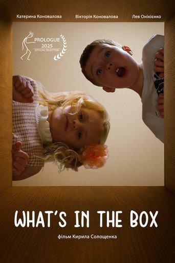 What`s in the box (2025) poster