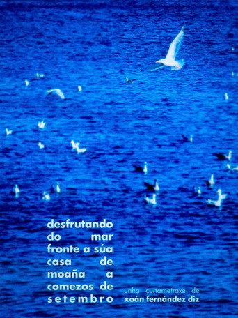 enjoying the sea in front of his house in moaña in early september (2023) poster