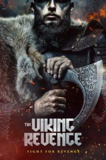 The Viking Revenge (2023) poster