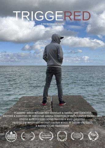 Triggered (2025) poster