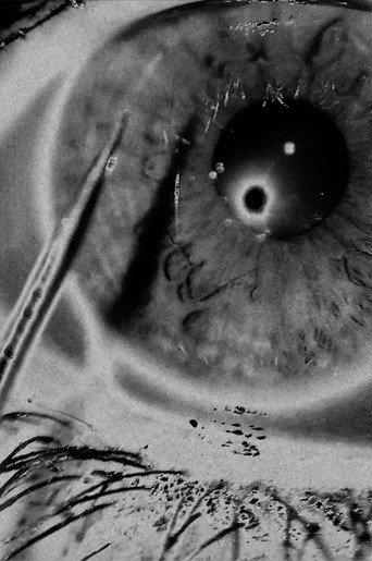 White Noise (2022) poster