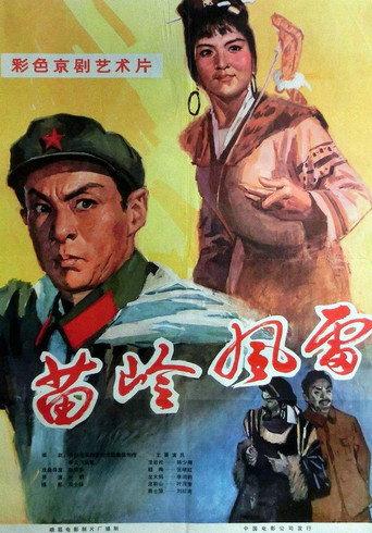 苗岭风雷 (1977) poster