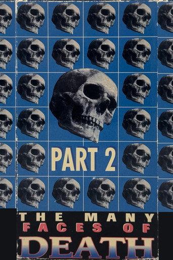 The Many Faces of Death, Part 2 (1995) poster