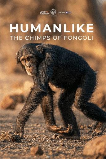 Humanlike - The Chimps of Fongoli () poster