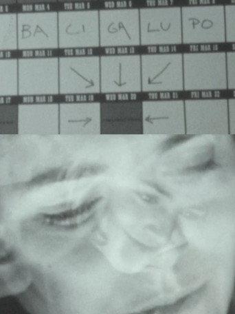 Lingue di luce – M. Bacigalupo racconta il suo cinema (2025) poster