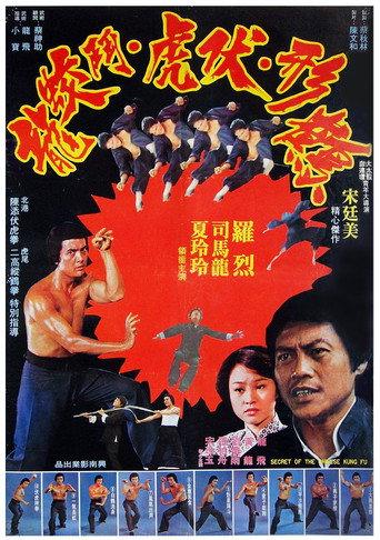 Secret of Chinese Kung Fu (1977) poster