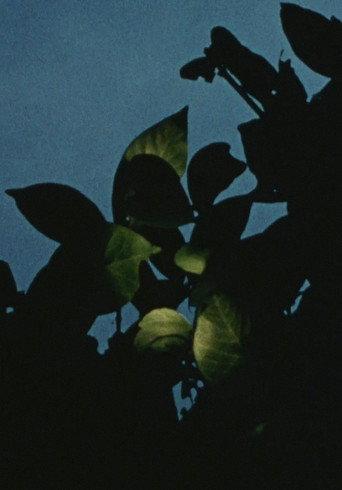 Earth Stone (1986) poster