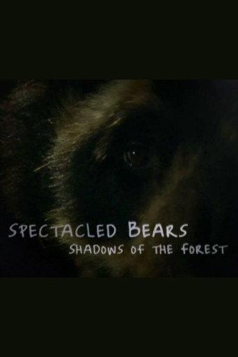 Spectacled Bears: Shadows of the Forest (2008) poster