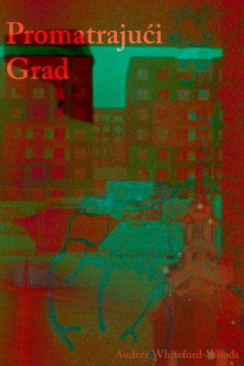 City in Observation (2025) poster