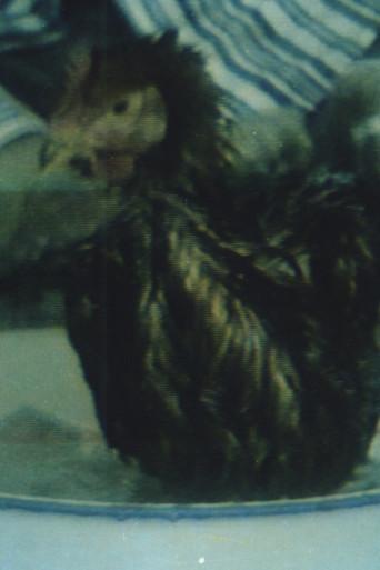 Hygiene No.3 (1991) poster