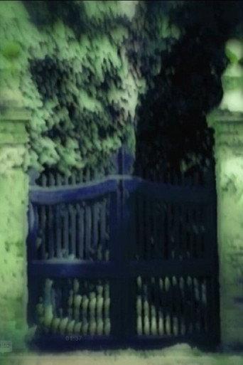Villa fidelia (2007) poster