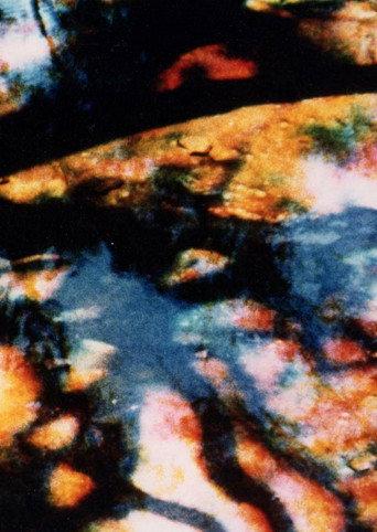 Warrah (1980) poster