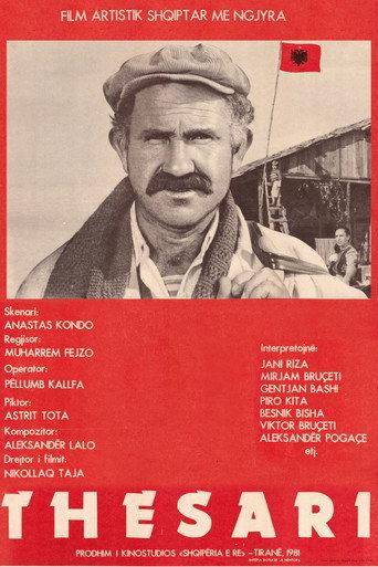 The Treasure (1981) poster