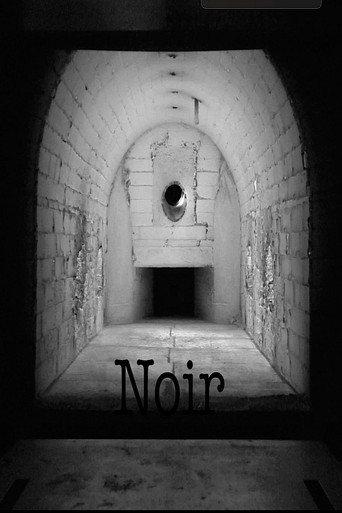 Noir (2023) poster