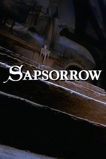 The Storyteller: Sapsorrow () poster