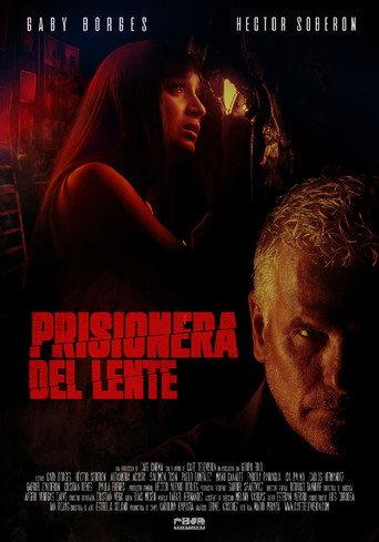 Framed (2024) poster