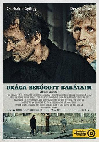 Dear Betrayed Friends (2012) poster