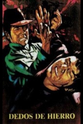 The Righteous Fist (1972) poster