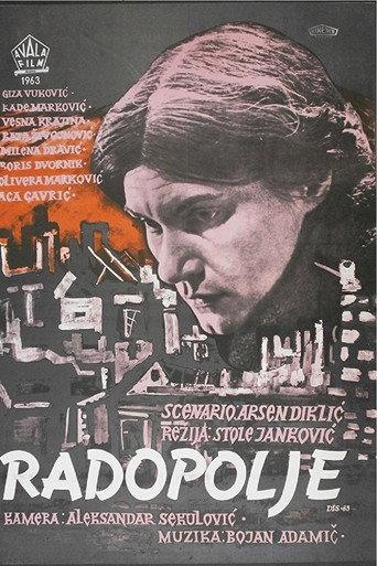Radopolje (1963) poster