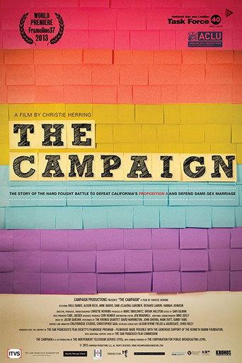The Campaign (2013) poster
