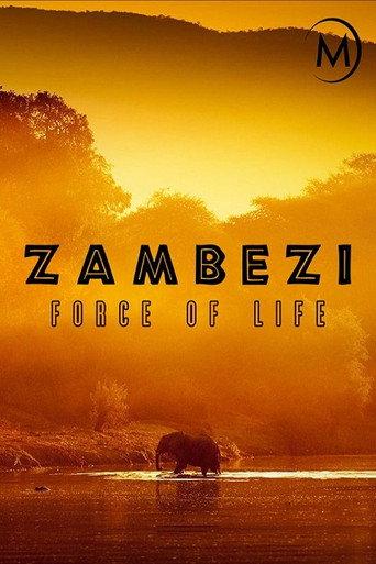Zambezi: Force of Life () poster