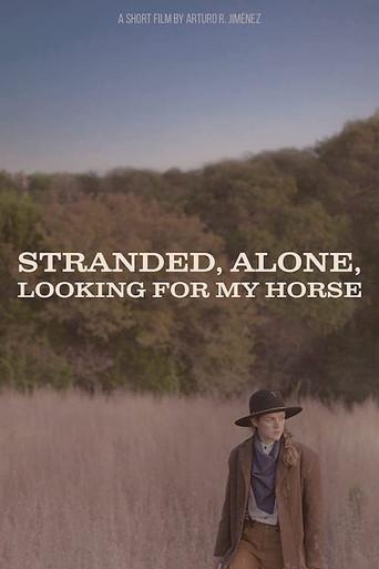 Stranded, Alone, Looking for my Horse () poster