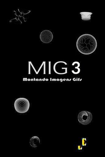 MIG3 (2013) poster
