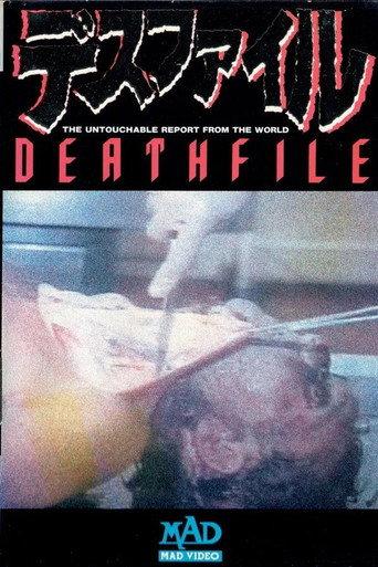 Death File 1 (1989) poster