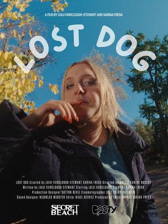 Lost Dog () poster